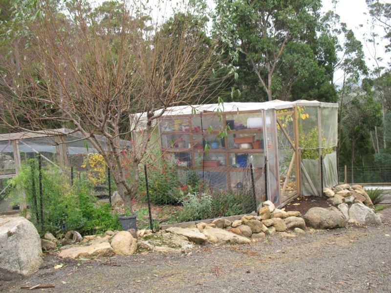 Lot 1 Frederick Street, Derby TAS 7264