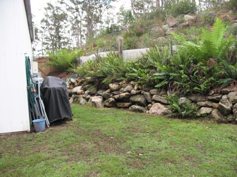 Lot 1 Frederick Street, Derby TAS 7264