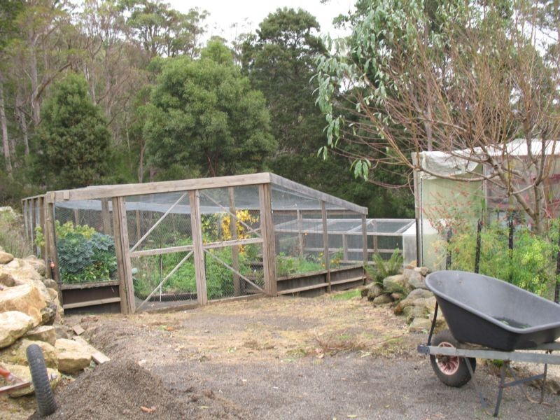 Lot 1 Frederick Street, Derby TAS 7264