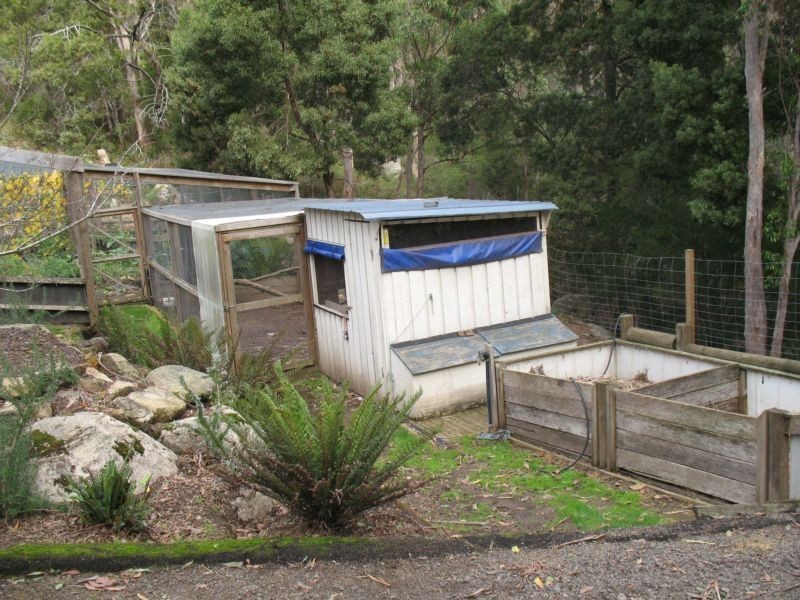 Lot 1 Frederick Street, Derby TAS 7264