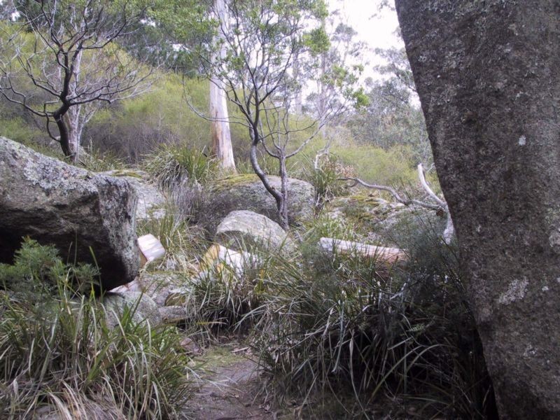 Lot 1 Frederick Street, Derby TAS 7264