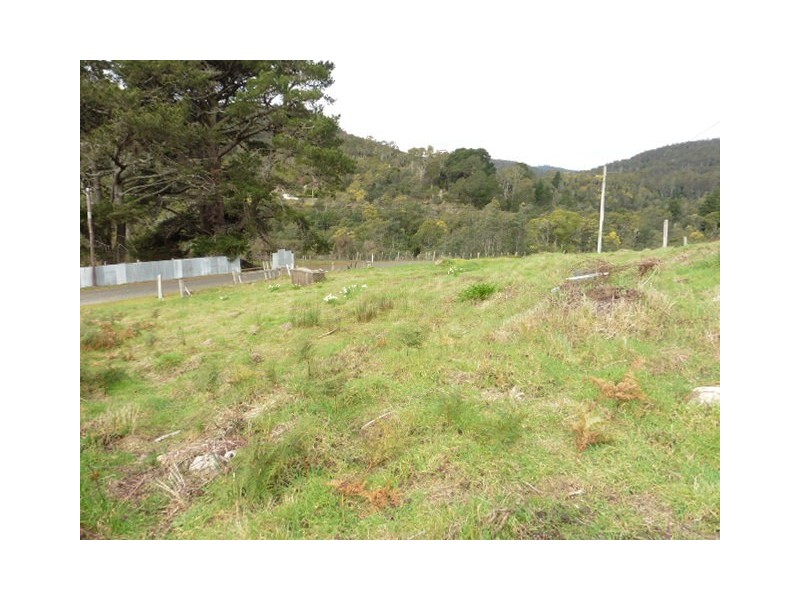 4 Cascade Dam Road, Derby TAS 7264