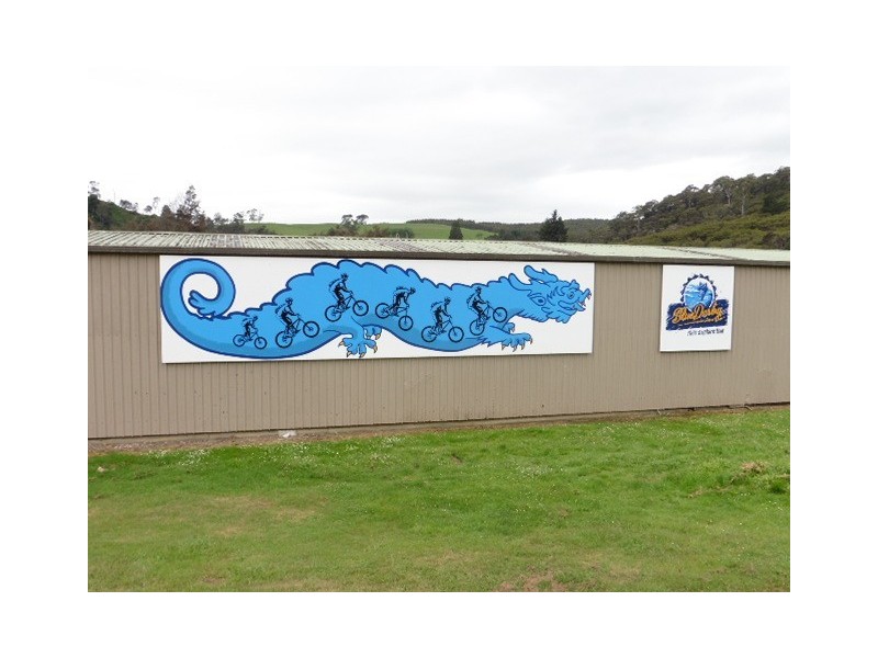 4 Cascade Dam Road, Derby TAS 7264