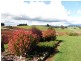 ** Bridport Road, Scottsdale TAS 7260