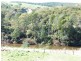 65 Main Street, Derby TAS 7264