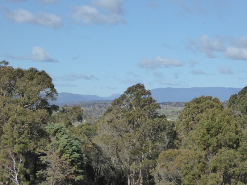 9 Murray Street, Bridport TAS 7262