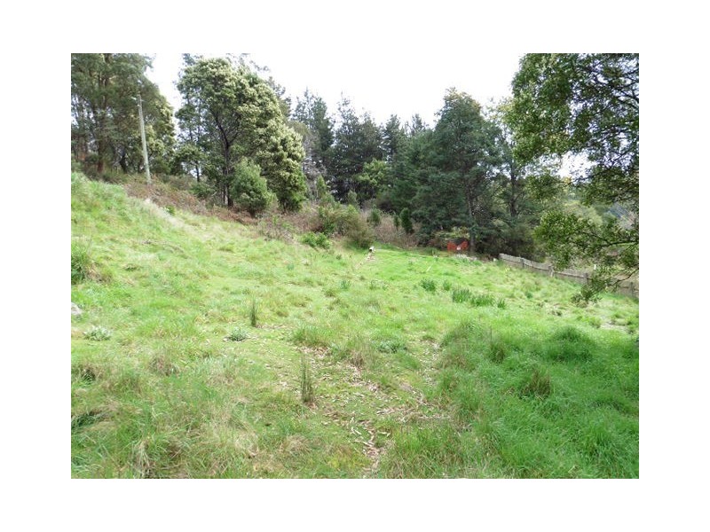 9-10 Christopher Street, Derby TAS 7264