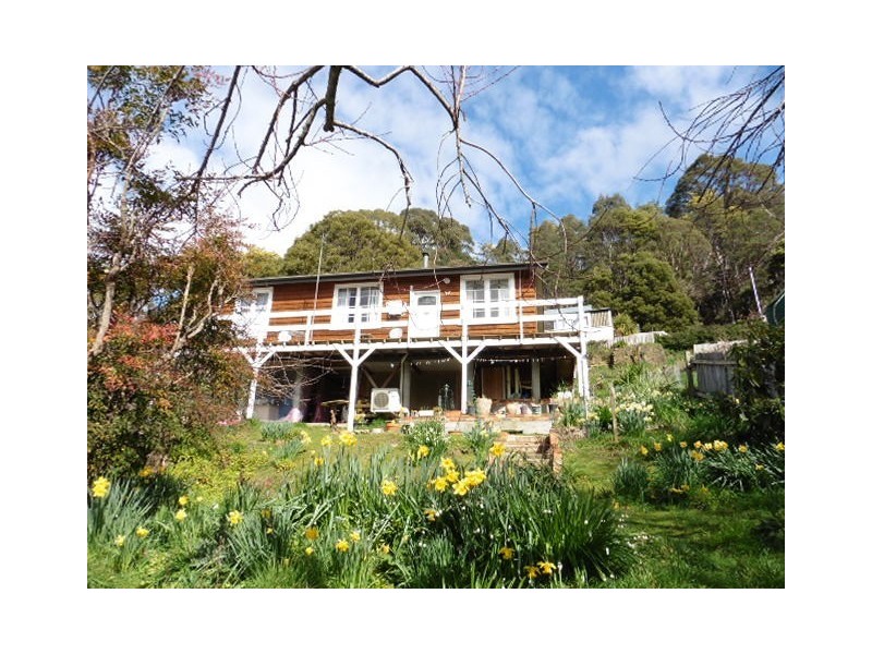 64 Main Street, Derby TAS 7264