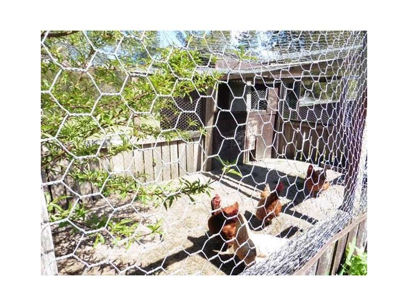 ** Gladstone Road, South Mount Cameron TAS 7264