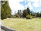 ** Gladstone Road, South Mount Cameron TAS 7264