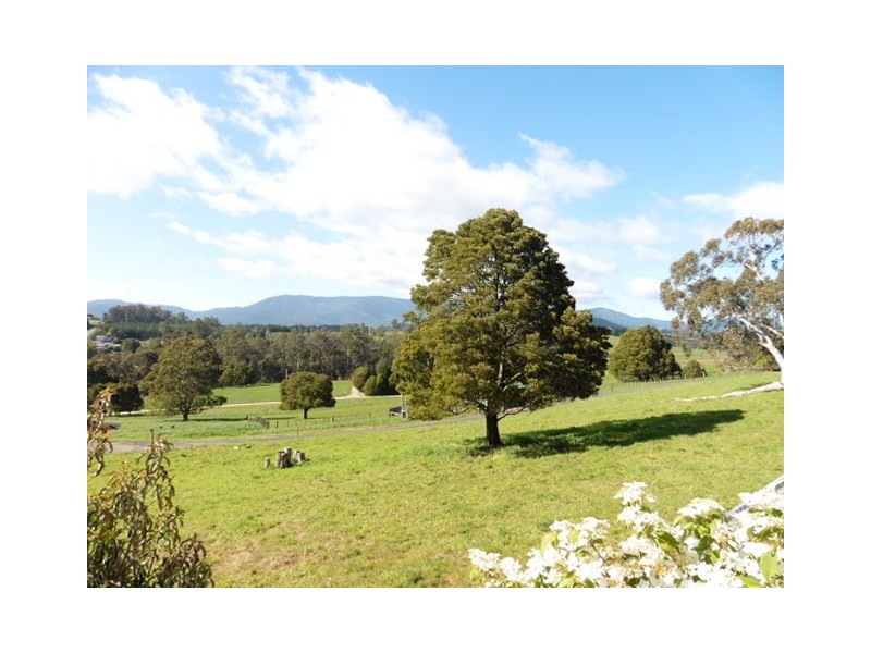 5 McLennan Street, Scottsdale TAS 7260