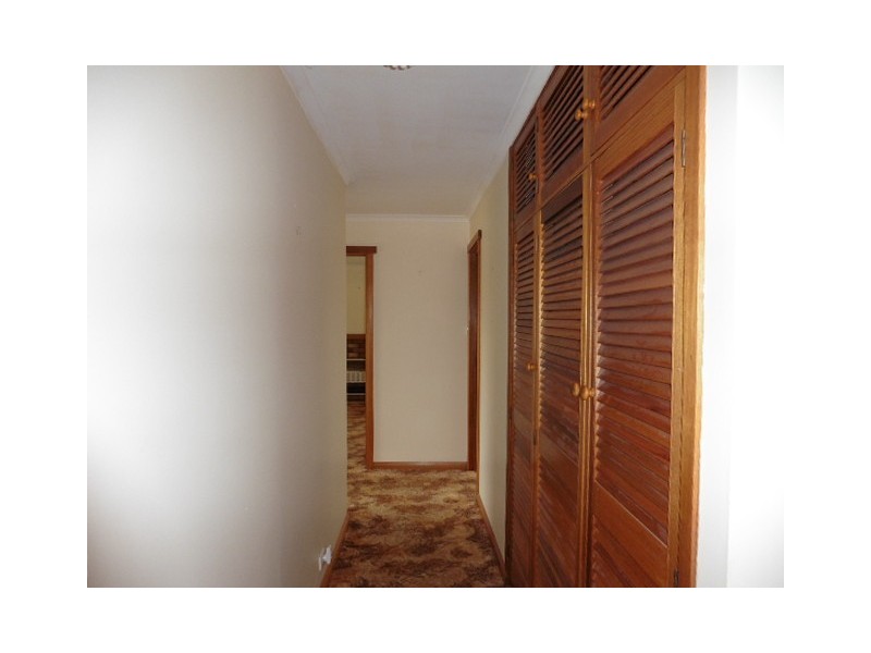 5 McLennan Street, Scottsdale TAS 7260