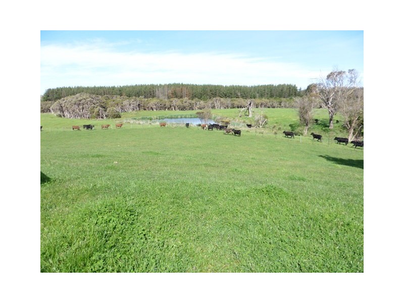 578 Sandy Points Road, Bridport TAS 7262