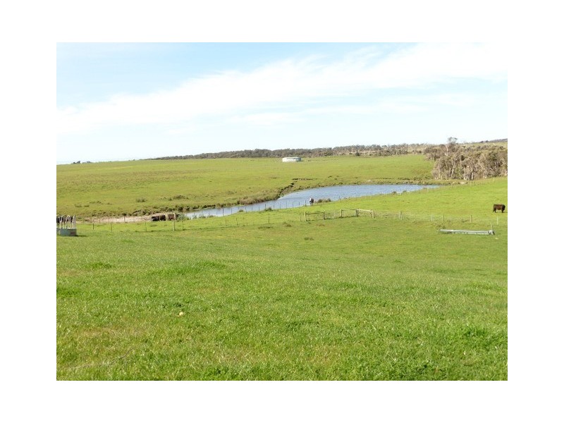 578 Sandy Points Road, Bridport TAS 7262