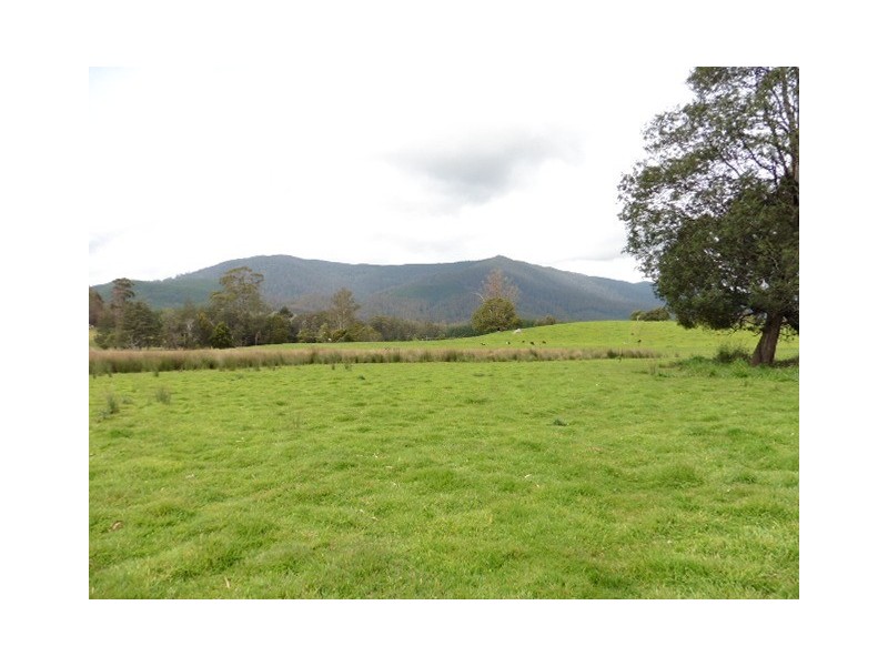 ** MacKenzie Valley Road, Scottsdale TAS 7260