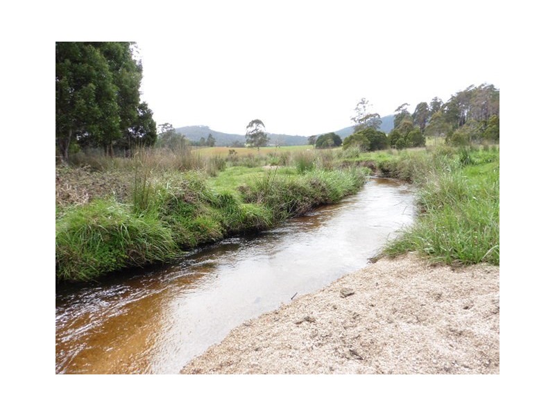 ** MacKenzie Valley Road, Scottsdale TAS 7260