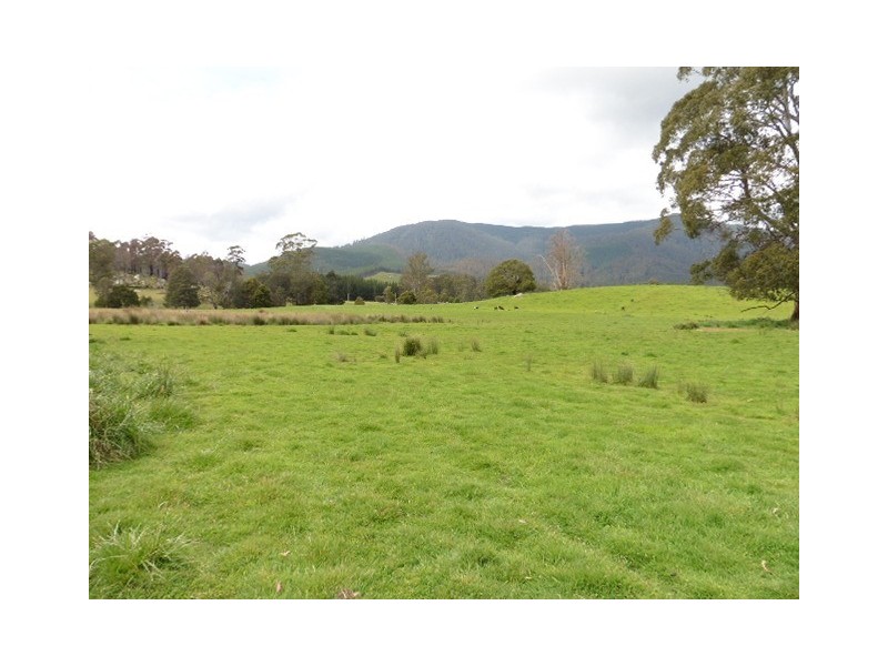 ** MacKenzie Valley Road, Scottsdale TAS 7260