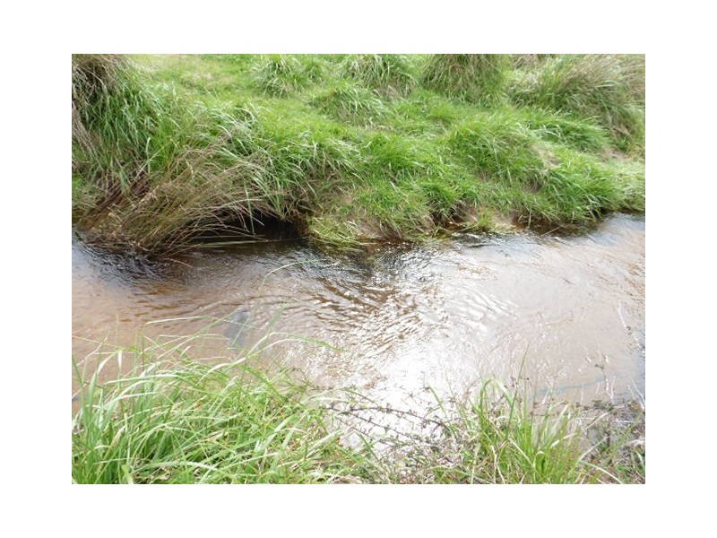 ** MacKenzie Valley Road, Scottsdale TAS 7260