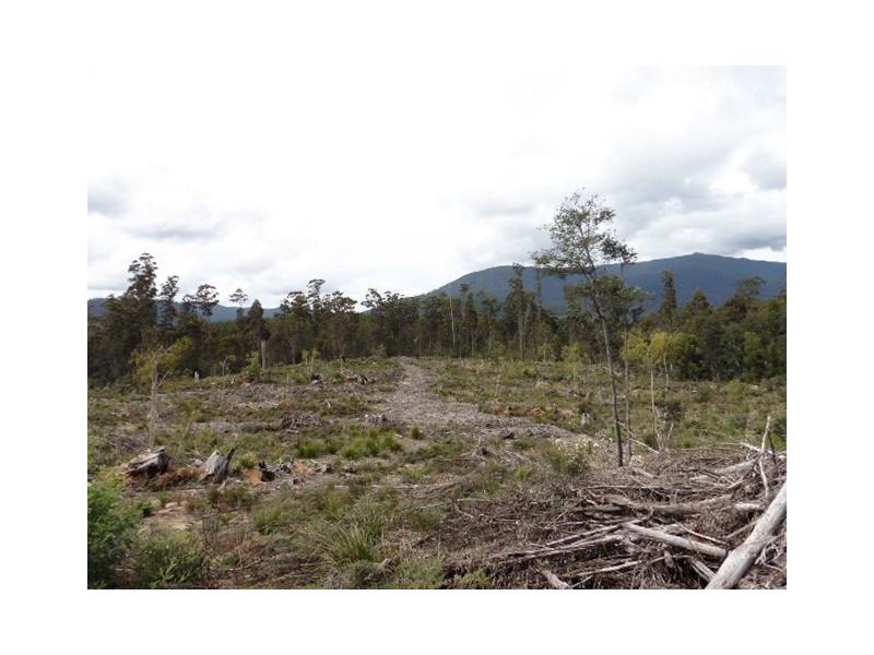 ** Capples Road, Scottsdale TAS 7260