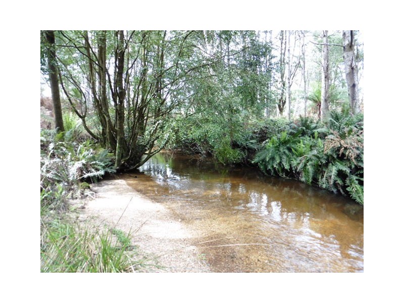 ** Capples Road, Scottsdale TAS 7260