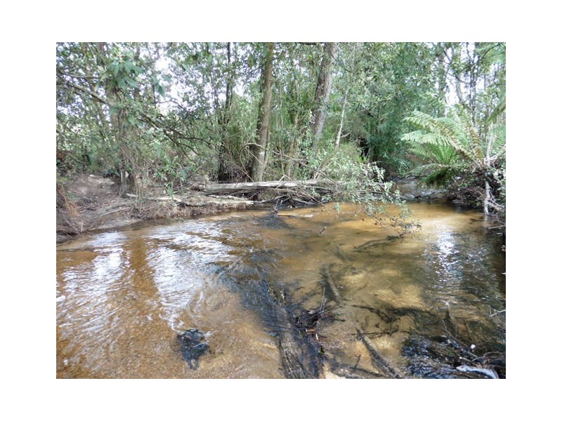 * Cuckoo Road, Scottsdale TAS 7260