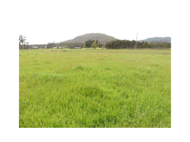 * Cuckoo Road, Scottsdale TAS 7260