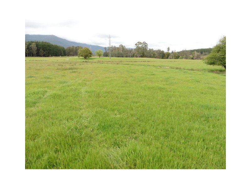 * Cuckoo Road, Scottsdale TAS 7260