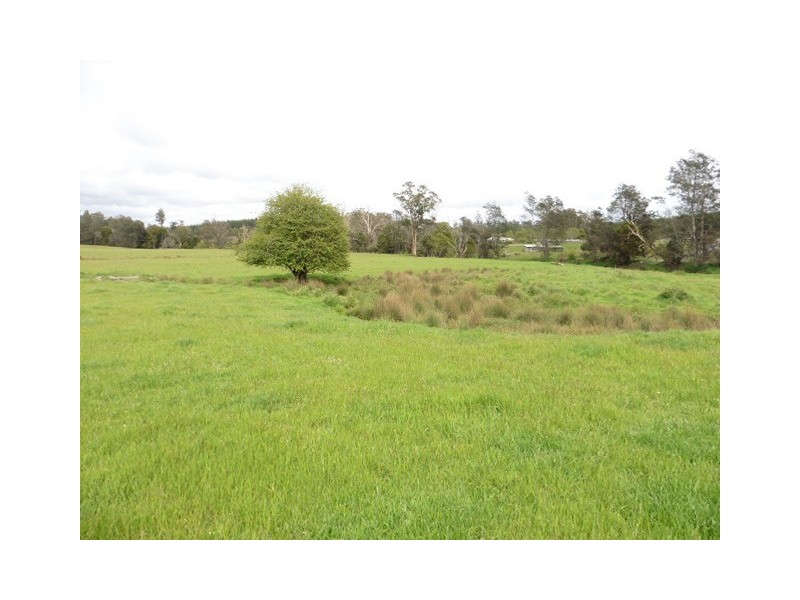 * Cuckoo Road, Scottsdale TAS 7260