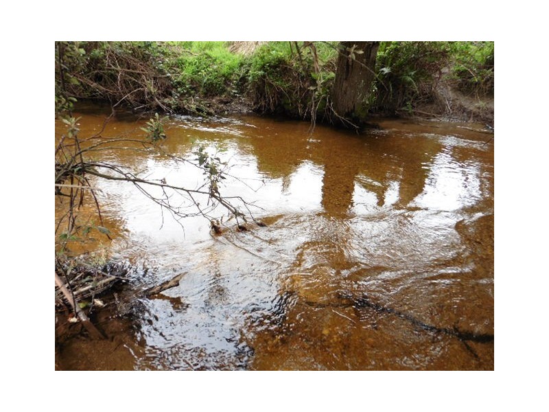 * Cuckoo Road, Scottsdale TAS 7260