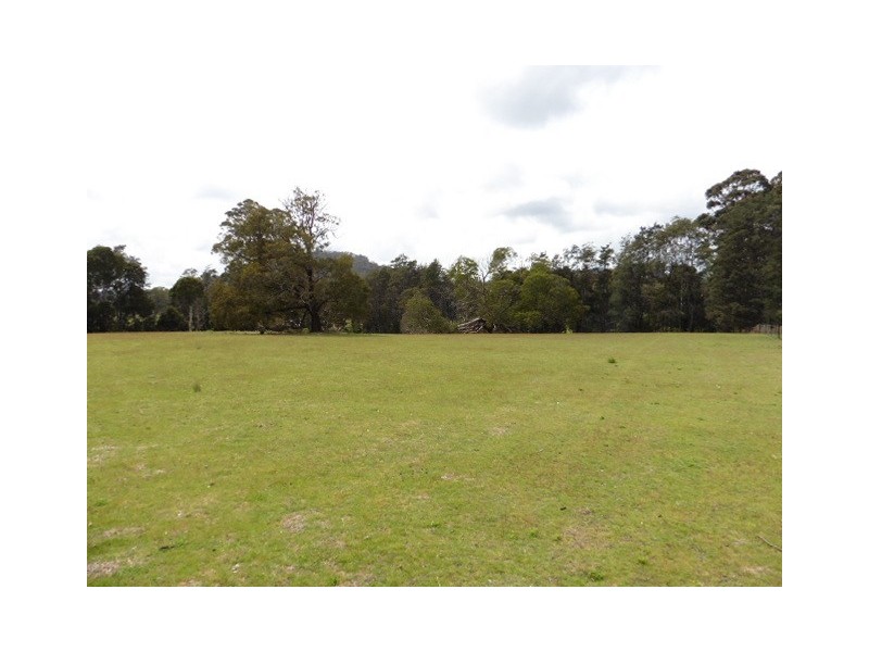 * Cuckoo Road, Scottsdale TAS 7260