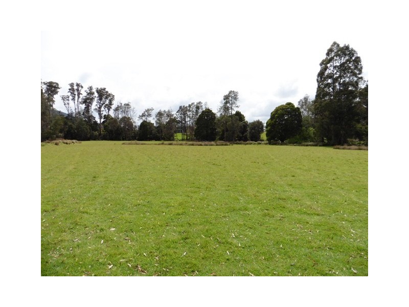 * Cuckoo Road, Scottsdale TAS 7260