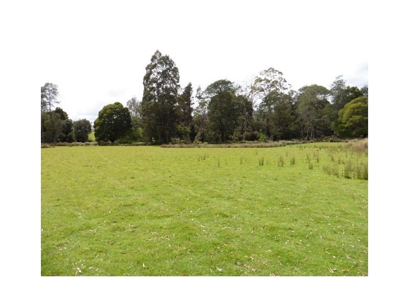 * Cuckoo Road, Scottsdale TAS 7260