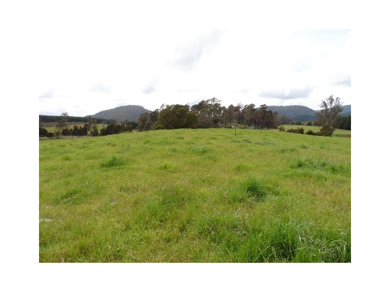 * MacKenzie Valley Road, Scottsdale TAS 7260