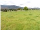 * MacKenzie Valley Road, Scottsdale TAS 7260