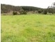 * MacKenzie Valley Road, Scottsdale TAS 7260