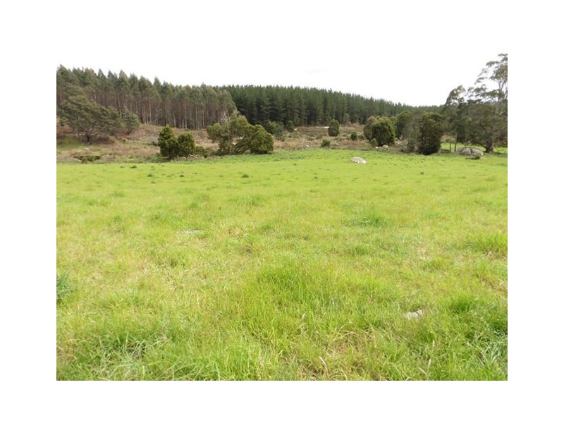 * MacKenzie Valley Road, Scottsdale TAS 7260