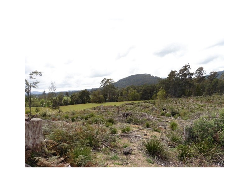 * Capples Road, Scottsdale TAS 7260