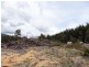 * Capples Road, Scottsdale TAS 7260