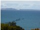 8 William Street, Bridport TAS 7262