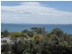 8 William Street, Bridport TAS 7262