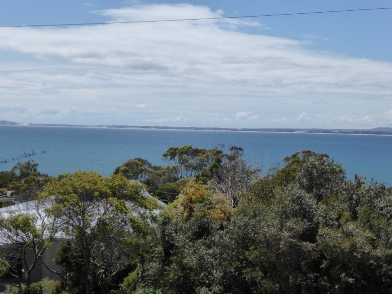 8 William Street, Bridport TAS 7262