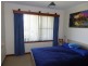 8 William Street, Bridport TAS 7262