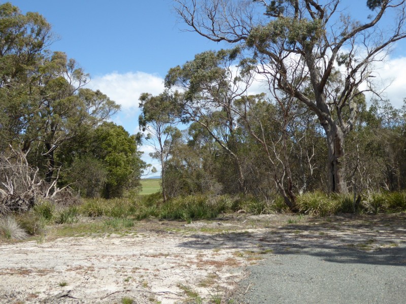 Lot 9 – 16, . Neville Drive, Bridport TAS 7262