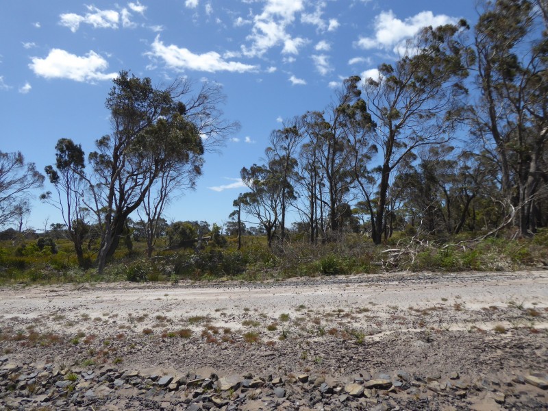 Lot 9 – 16, . Neville Drive, Bridport TAS 7262