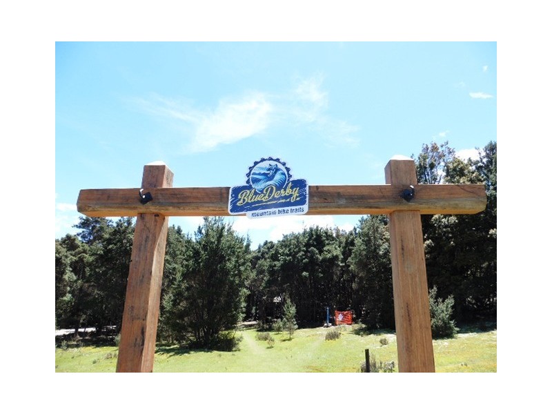 * Lottah Road, Lottah, Weldborough TAS 7264