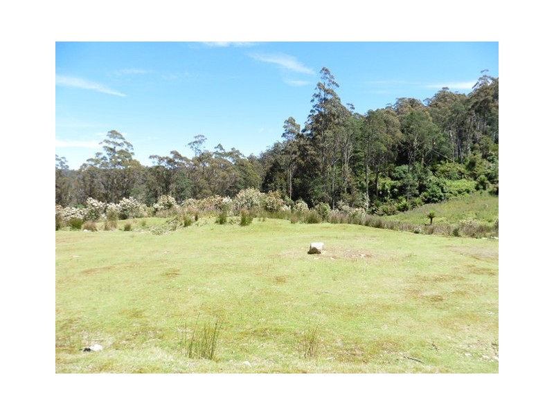 * Lottah Road, Lottah, Weldborough TAS 7264