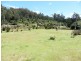 * Lottah Road, Lottah, Weldborough TAS 7264