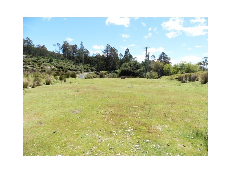 * Lottah Road, Lottah, Weldborough TAS 7264
