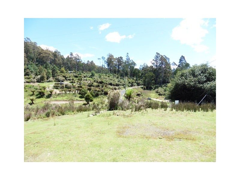 * Lottah Road, Lottah, Weldborough TAS 7264