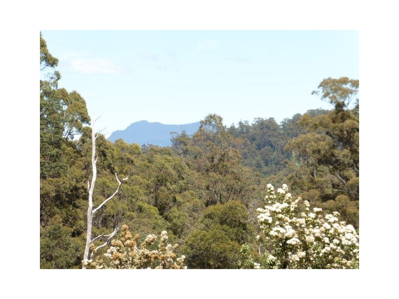 * Lottah Road, Lottah, Weldborough TAS 7264